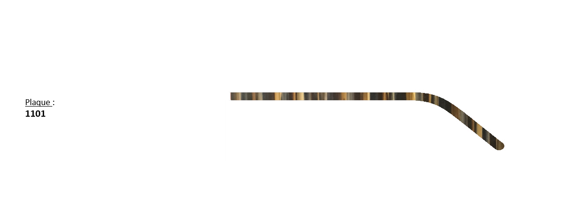 1101